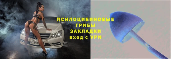 мескалин Белокуриха