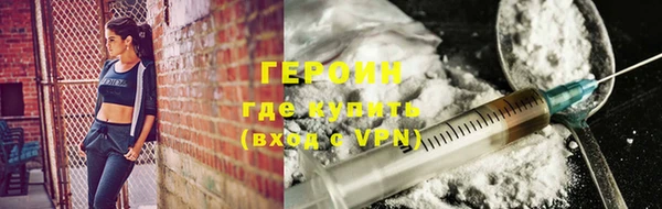 шишки Тайга