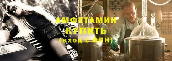 шишки Тайга